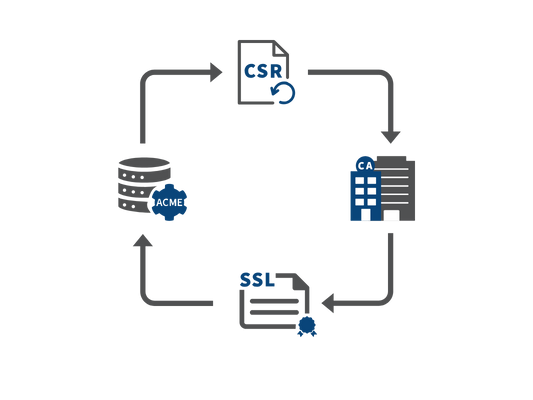 Quadratisches Ablaufdiagramm mit vier Symbolen: Dokument mit „CSR“, Datenbank, Zertifikat mit „SSL“ und Server