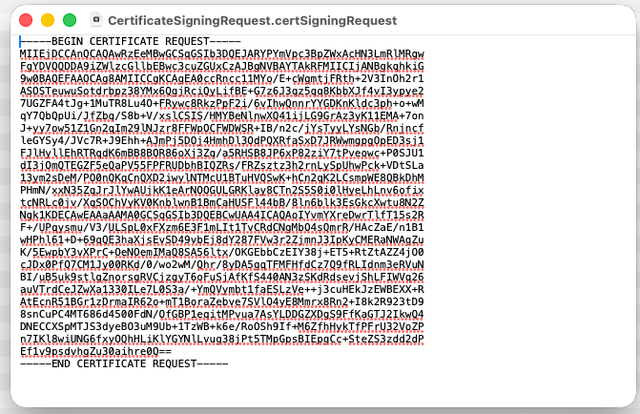 Screenshot eines CSR-Beispiels.